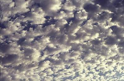 ALTOCUMULUS  FLOCCUS