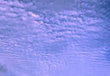 CIRROCUMULUS  STRATIFORMIS  UNDULATUS