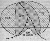 depression_anatomie.JPG (10640 octets)